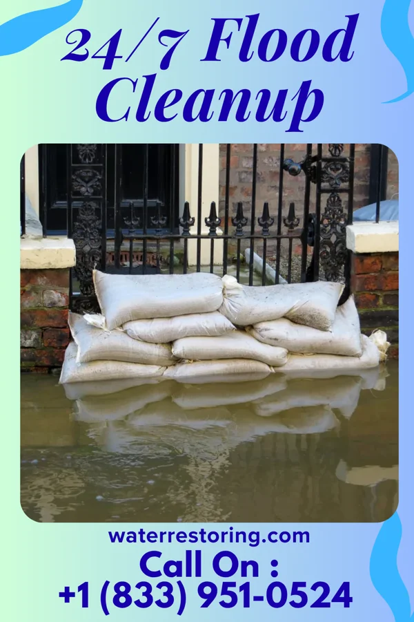 24/7 Flood Cleanup in La Feria, TX