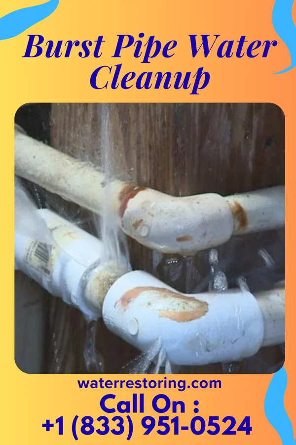 Burst Pipe Water Cleanup in La Feria, TX