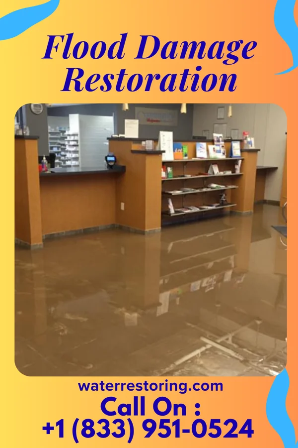 Flood Damage Restoration in La Feria, TX
