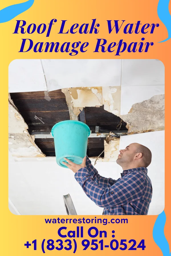 Roof Leak Water Damage Repair in La Feria, TX